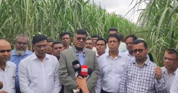 বন্ধ ছয় চিনিকল চালুর উদ্যোগ, আসছে আধুনিক প্রযুক্তি ও বিনিয়োগ